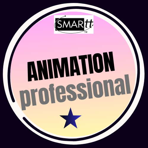 ANIMATION AND MOTION GRAPHICS PROFESSIONAL COURSE 